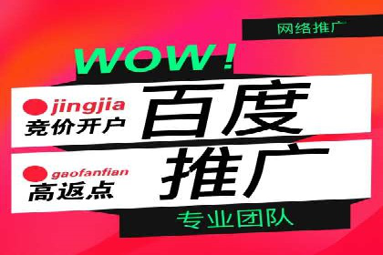 sem竞价托管代运营的实战技巧与案例
